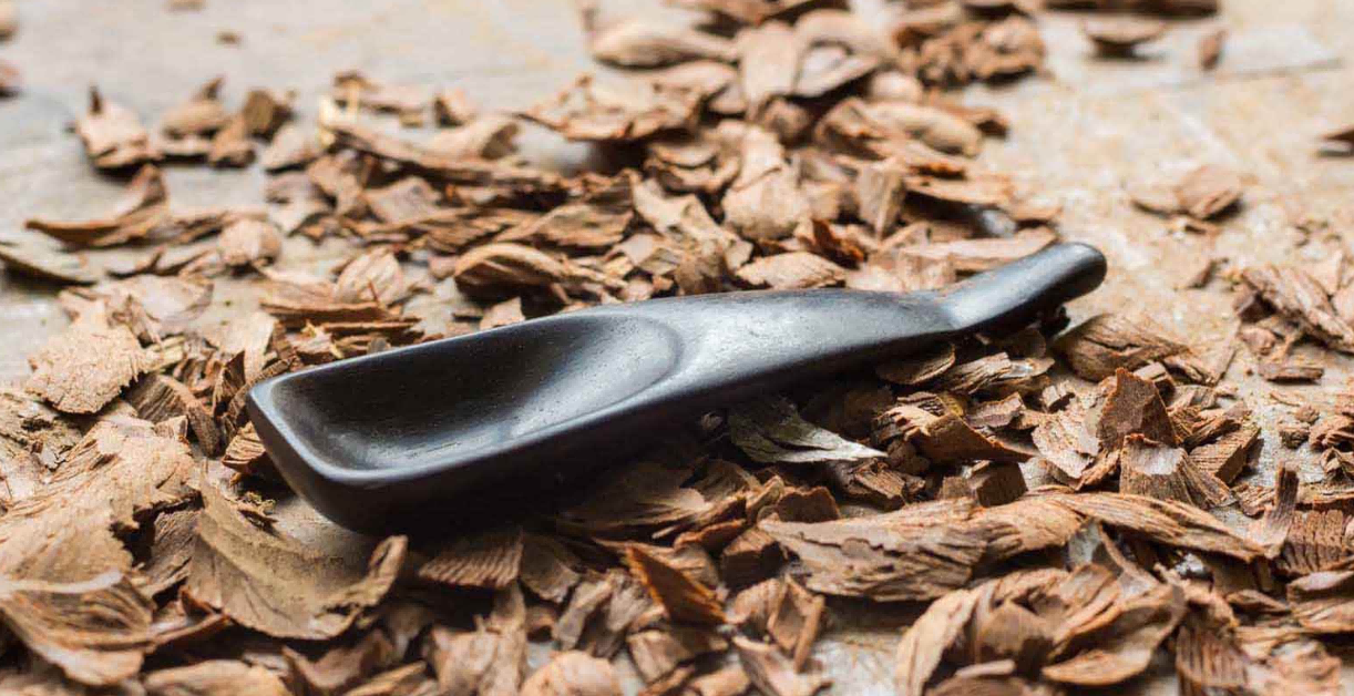 賽數掃描設備成為全國中醫(yī)藥普查工作重要助手